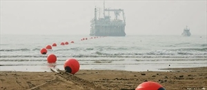 Brasil busca consolidar la industria de cables submarinos - Crédito: EllaLink